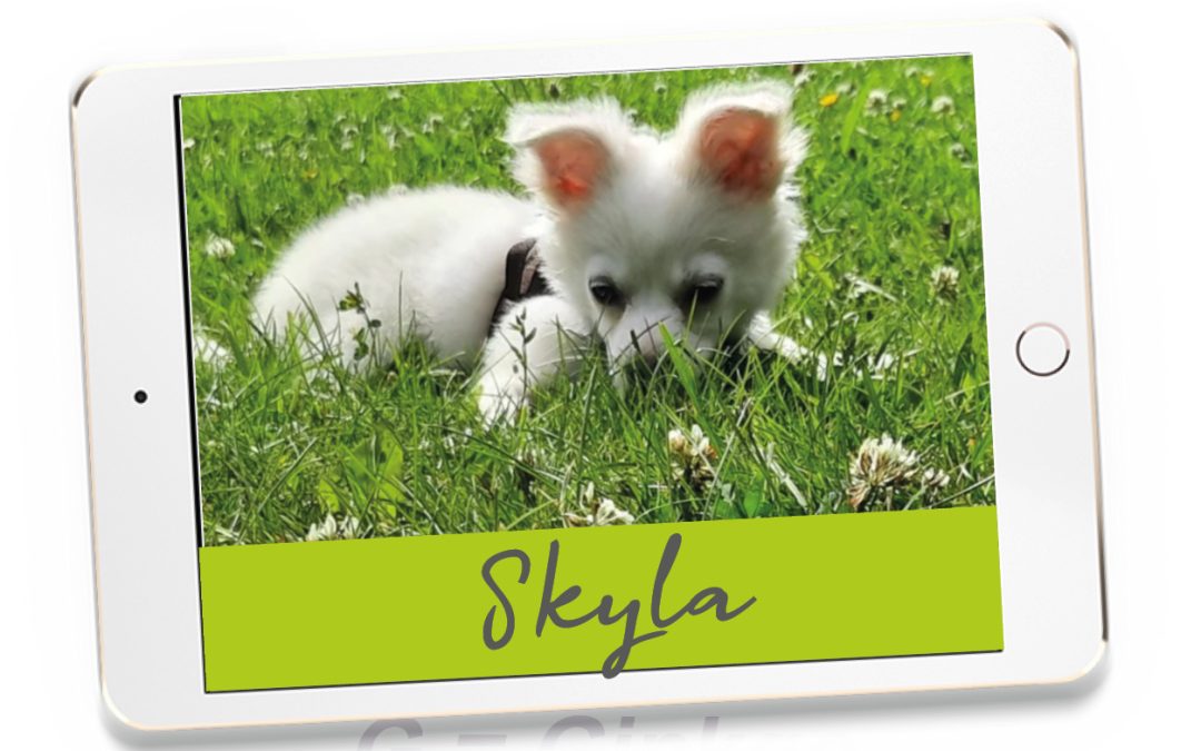 „Skyla“ – Patient des Monats Juni